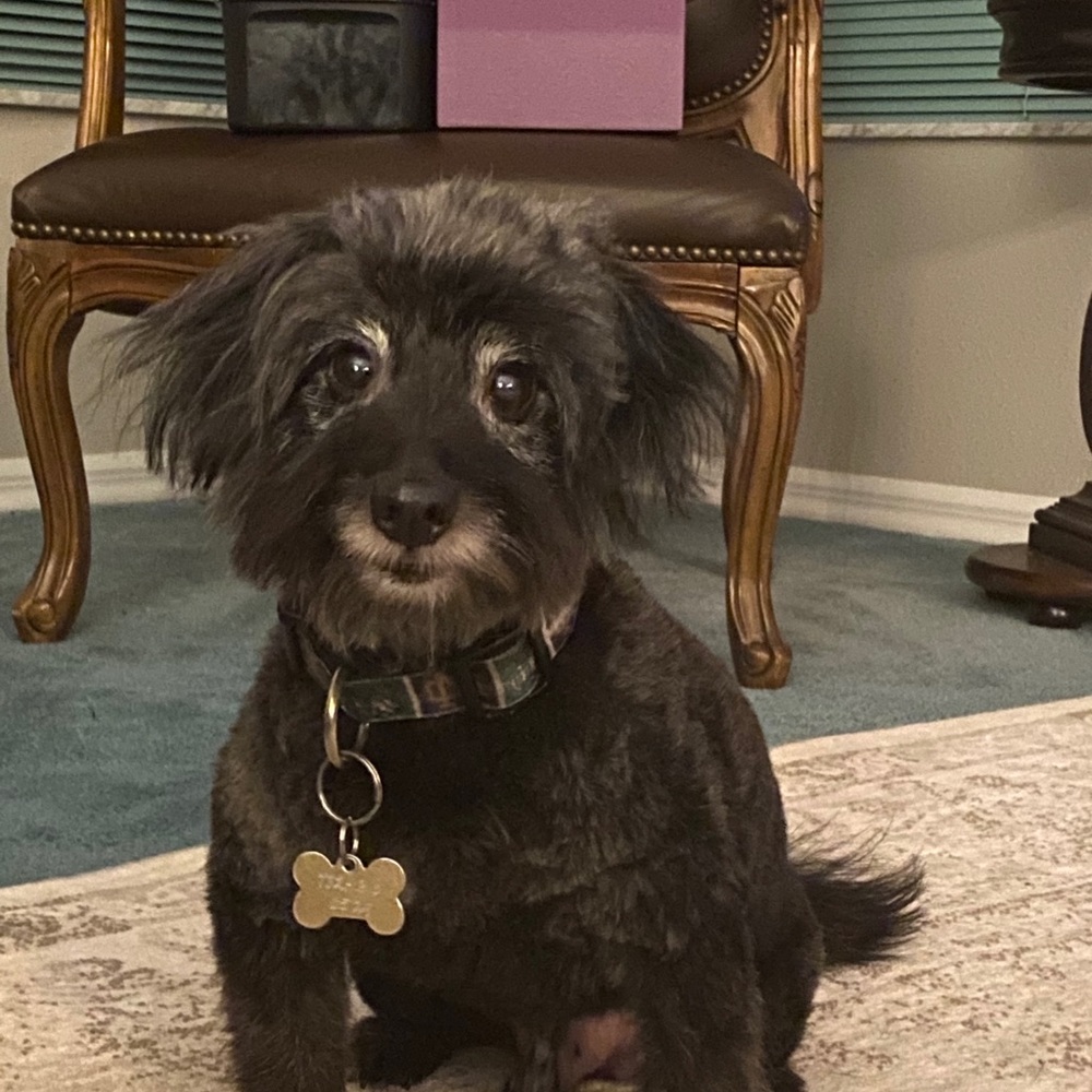 Meet your Posher, Aj